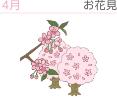 お花見